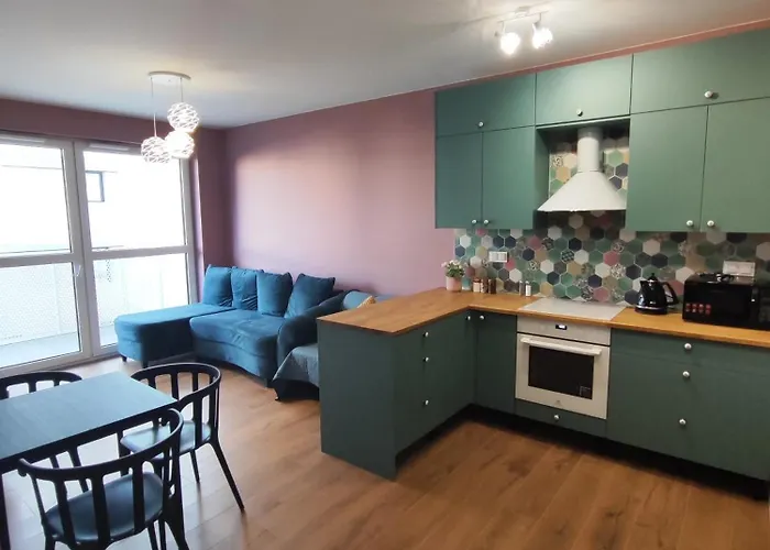 Lejlighed Zoo Arena Near Airport Free Parking Łódź